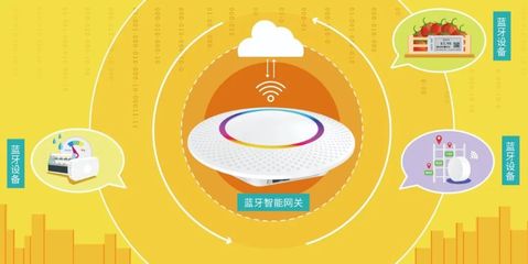 《湾区物道》| 深圳云里物里科技股份龙招喜 探索未来无限可能，构建全场景智慧新时代